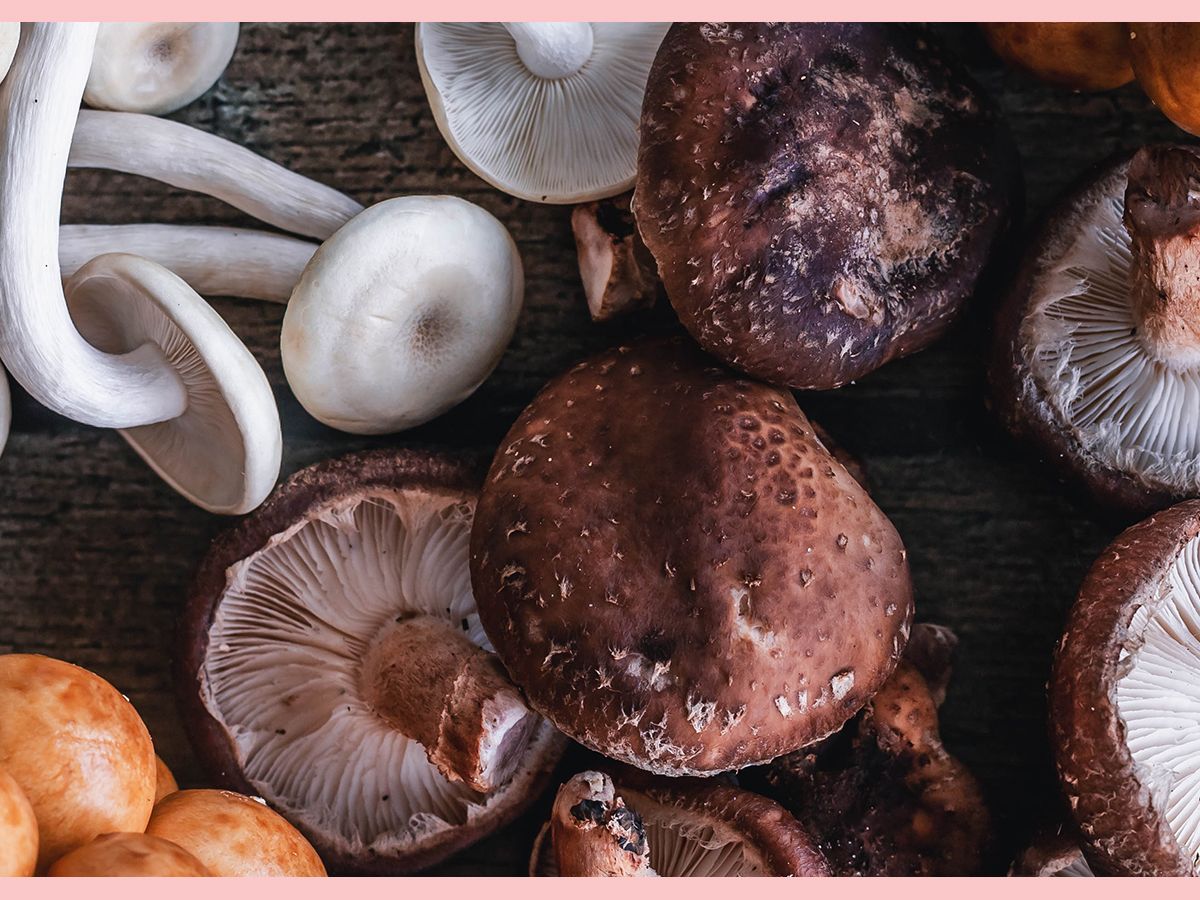 Types of Mushrooms and Uses