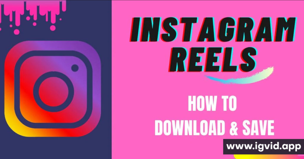 Download Instagram Video Reels Story Photo